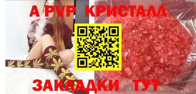 стаф Бугуруслан