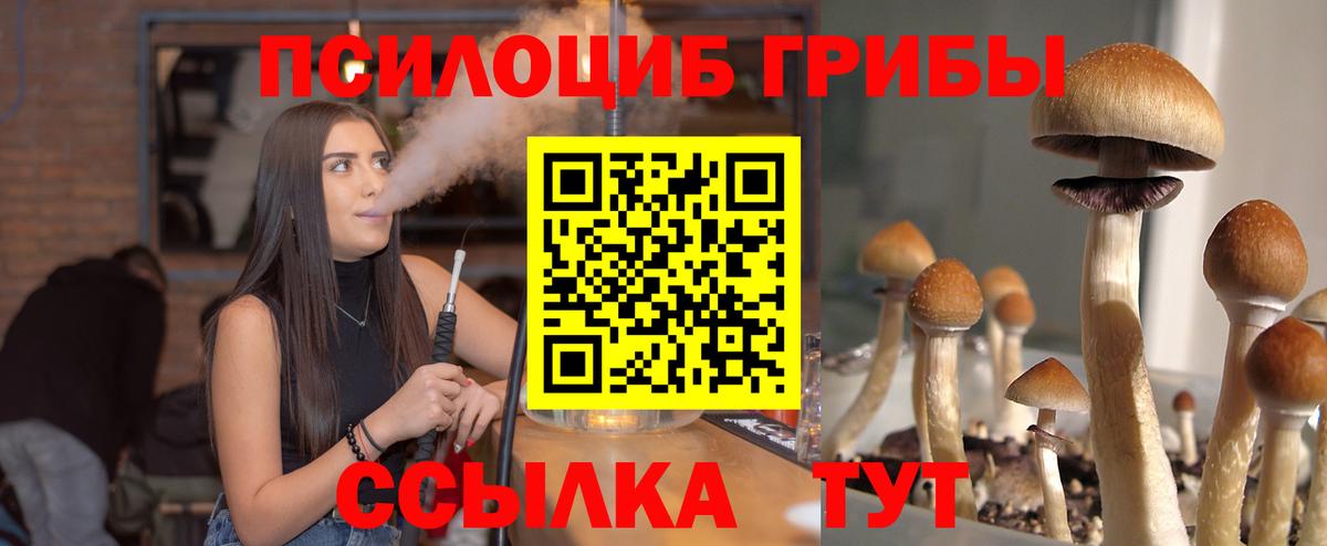 Alpha PVP Алапаевск